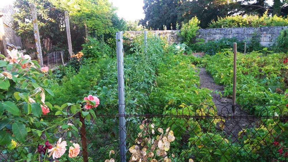 The kitchen garden